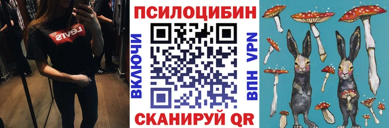 Купить закладки  Инза  Псилоцибиновые грибы мухоморы 
